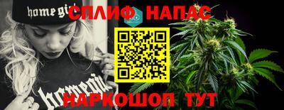 spice Дубна