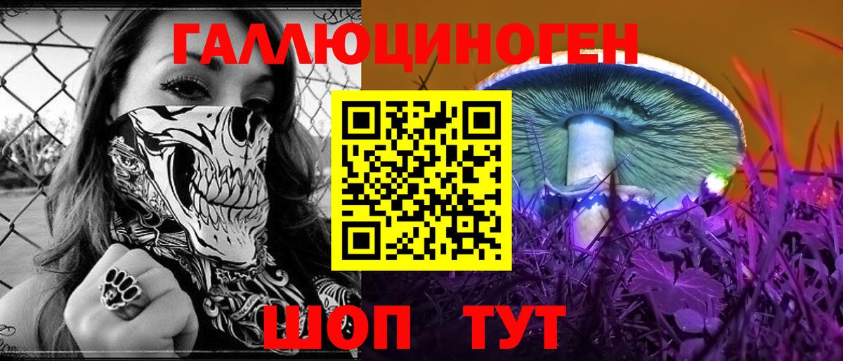 Гай  Псилоцибиновые грибы ЛСД  Вход с VPN 
